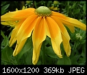 Click image for larger version

Name:	DSCN4962.JPG
Views:	66
Size:	369.1 KB
ID:	10008