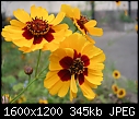 Click image for larger version

Name:	DSCN4981.JPG
Views:	90
Size:	345.4 KB
ID:	10010