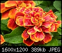 Click image for larger version

Name:	DSCN5819.JPG
Views:	470
Size:	388.9 KB
ID:	10062