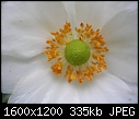 Click image for larger version

Name:	DSCN5840.JPG
Views:	398
Size:	335.5 KB
ID:	10064