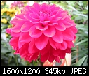 Click image for larger version

Name:	DSCN7081.JPG
Views:	188
Size:	344.7 KB
ID:	10132