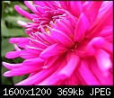 Click image for larger version

Name:	DSCN7103.JPG
Views:	286
Size:	368.9 KB
ID:	10135