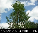 Click image for larger version

Name:	DSCN7553.JPG
Views:	234
Size:	392.5 KB
ID:	10137