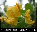 Click image for larger version

Name:	DSCN7644.JPG
Views:	194
Size:	348.3 KB
ID:	10140