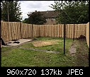What do I do about my lawn?-fenced.jpg