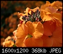 Click image for larger version

Name:	DSCN2841.JPG
Views:	201
Size:	368.1 KB
ID:	9149