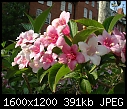 Click image for larger version

Name:	DSCN3314.JPG
Views:	177
Size:	390.7 KB
ID:	9151