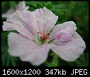 Click image for larger version

Name:	DSCN3511.JPG
Views:	310
Size:	347.3 KB
ID:	9153