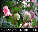 Click image for larger version

Name:	DSCN6460.JPG
Views:	52
Size:	378.9 KB
ID:	9180