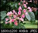 Click image for larger version

Name:	DSCN6461.JPG
Views:	54
Size:	405.6 KB
ID:	9181