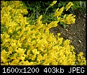Click image for larger version

Name:	DSCN6602.JPG
Views:	295
Size:	402.7 KB
ID:	9186