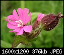 Click image for larger version

Name:	DSCN6669.JPG
Views:	305
Size:	375.5 KB
ID:	9187