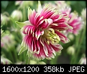 Click image for larger version

Name:	DSCN6916.JPG
Views:	337
Size:	358.2 KB
ID:	9189