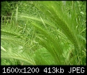 Click image for larger version

Name:	DSCN9976.JPG
Views:	160
Size:	413.1 KB
ID:	9312