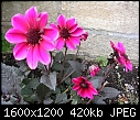 Click image for larger version

Name:	DSCN0029.JPG
Views:	166
Size:	420.0 KB
ID:	9318